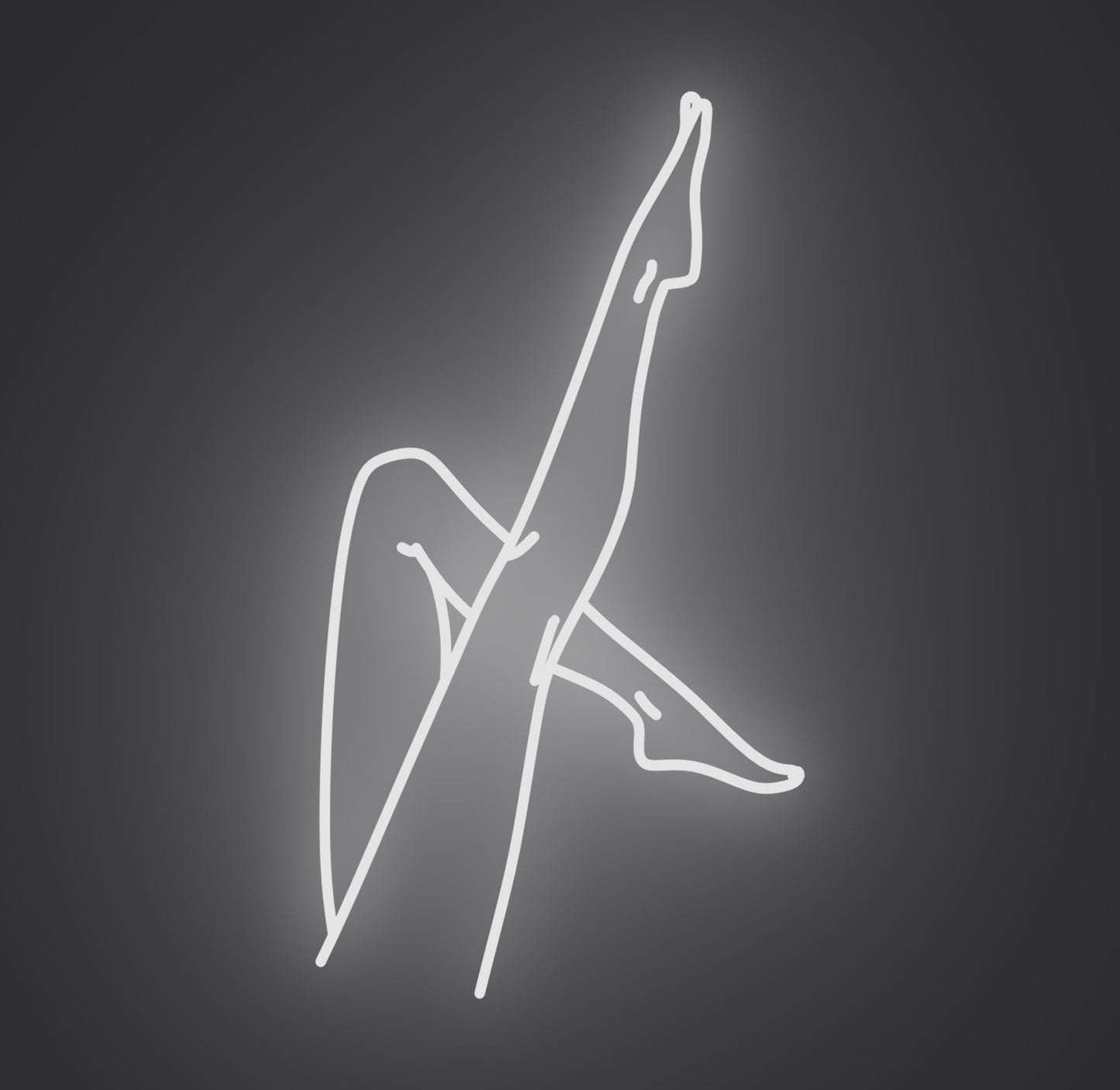 Slim Female Legs