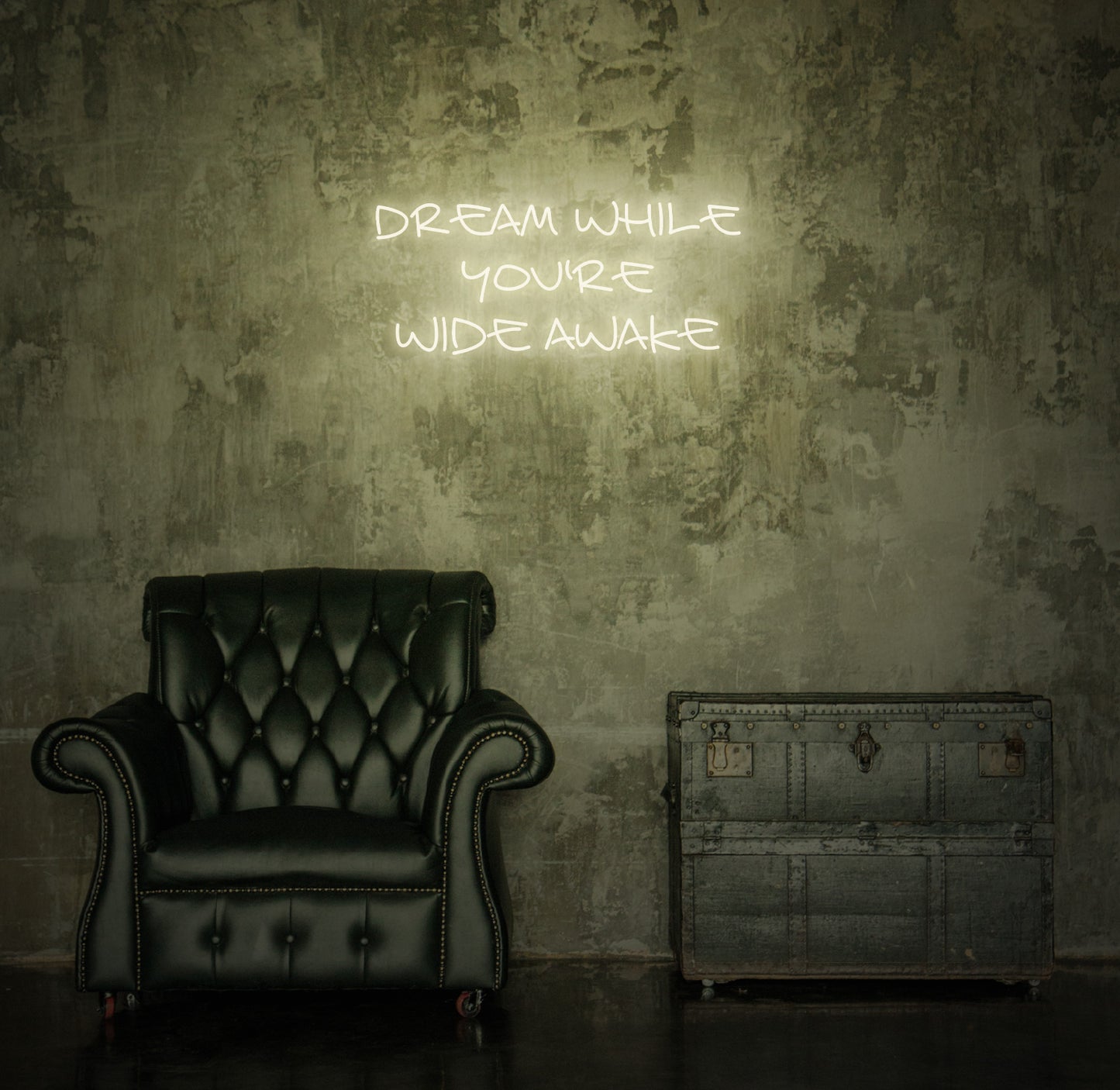 Dream while You're Wide Awake