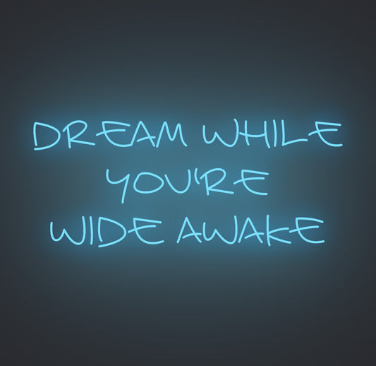 Dream while You're Wide Awake
