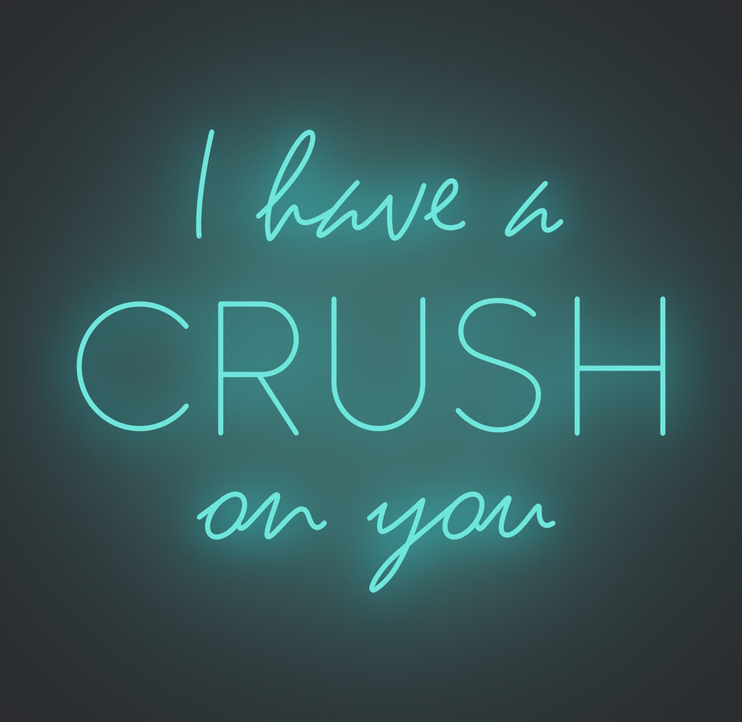 I Have A Crush on You
