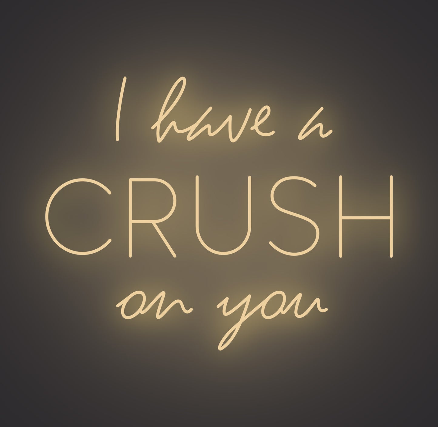 I Have A Crush on You