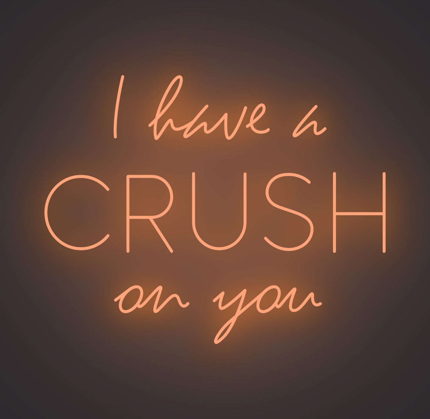 I Have A Crush on You