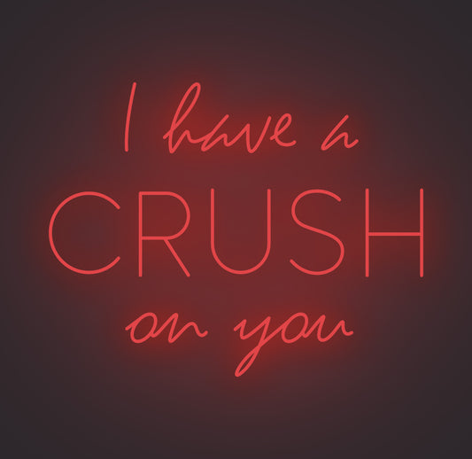 I Have A Crush on You
