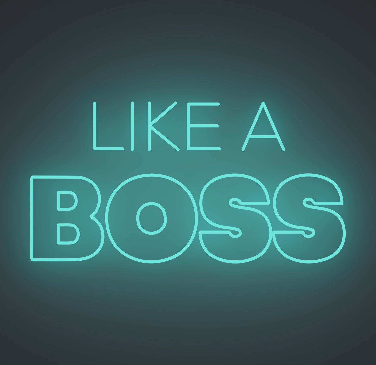 Like A Boss