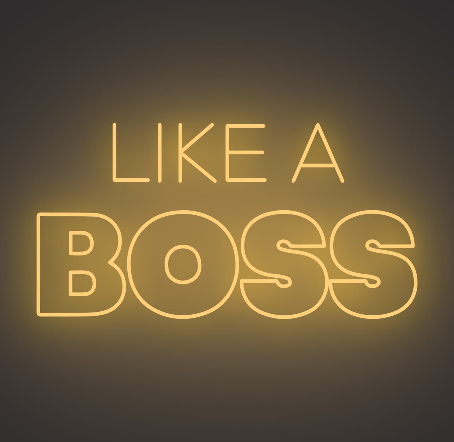 Like A Boss