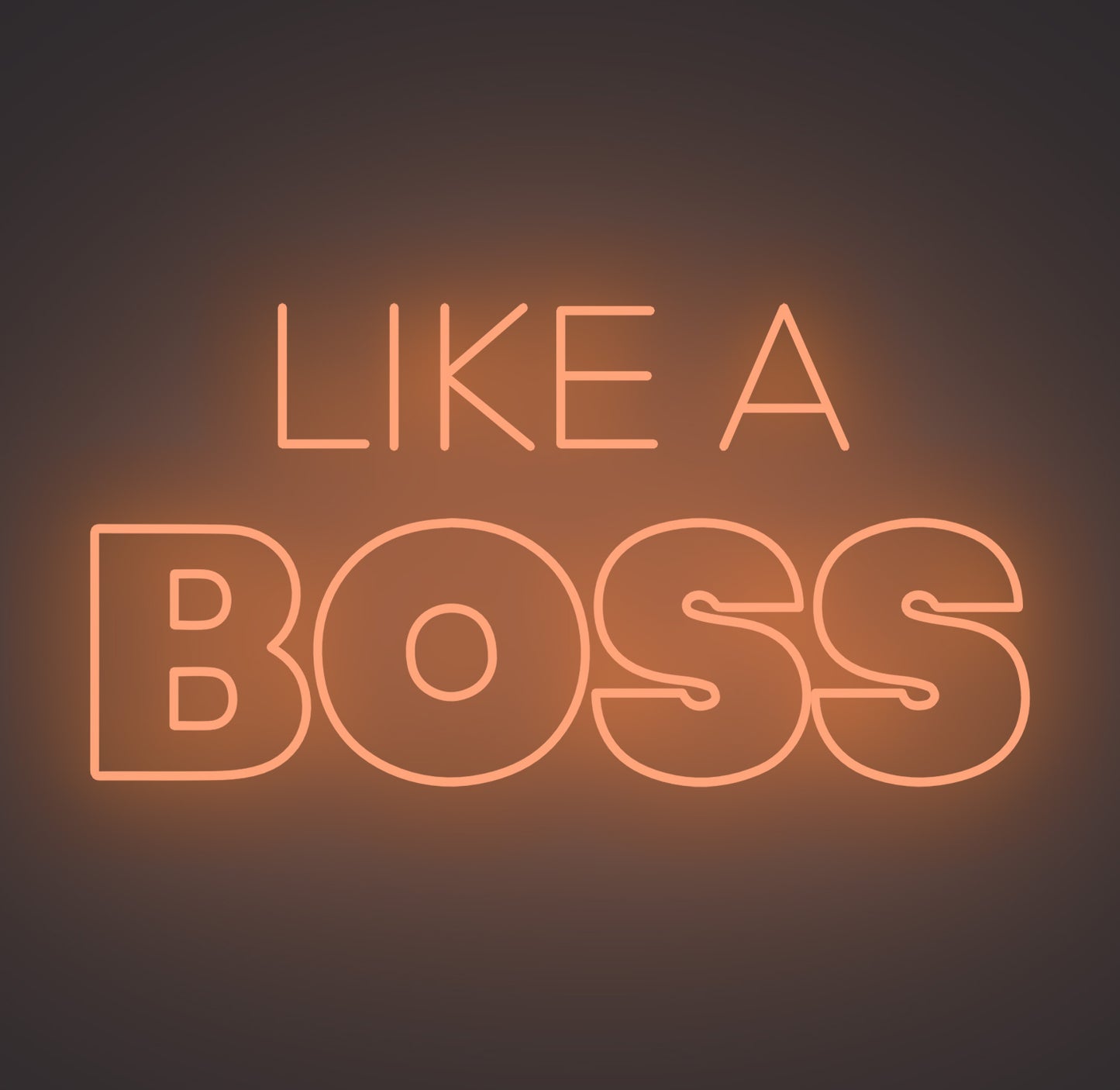 Like A Boss