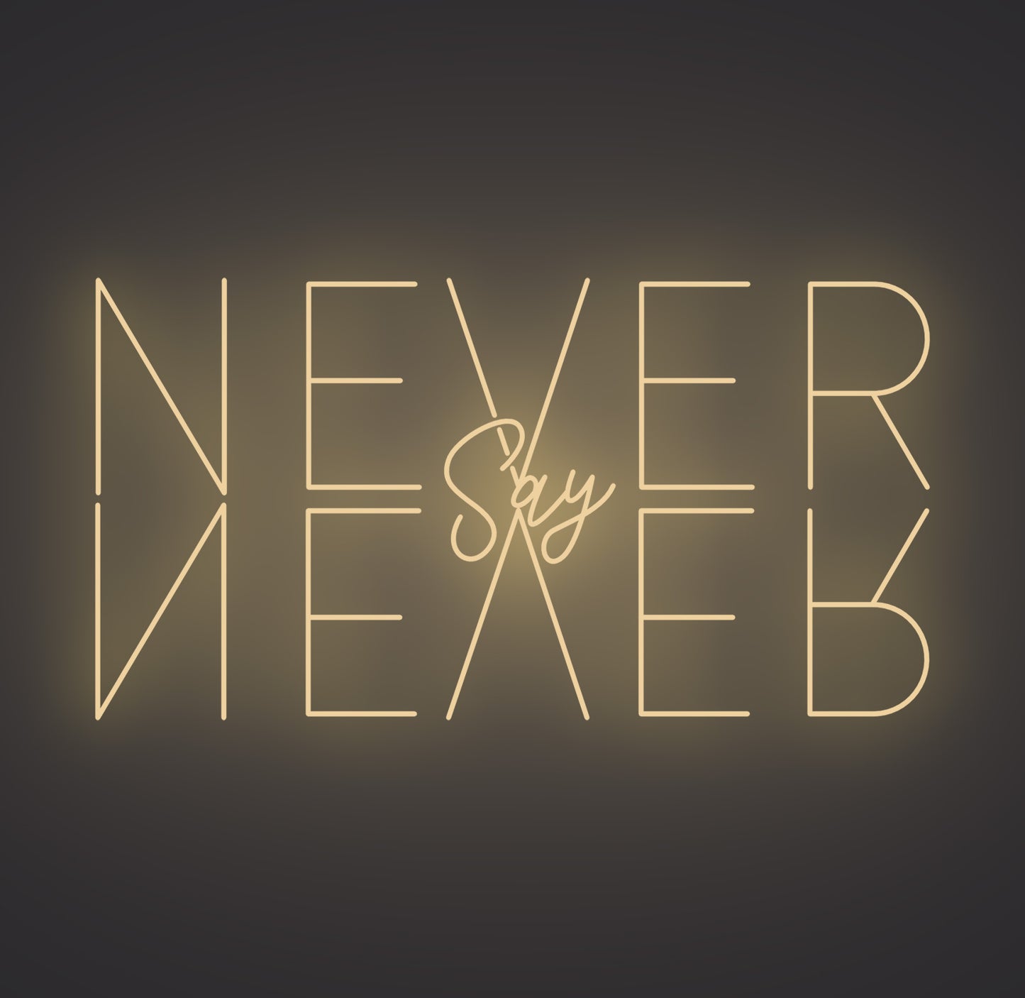 Never Say Never