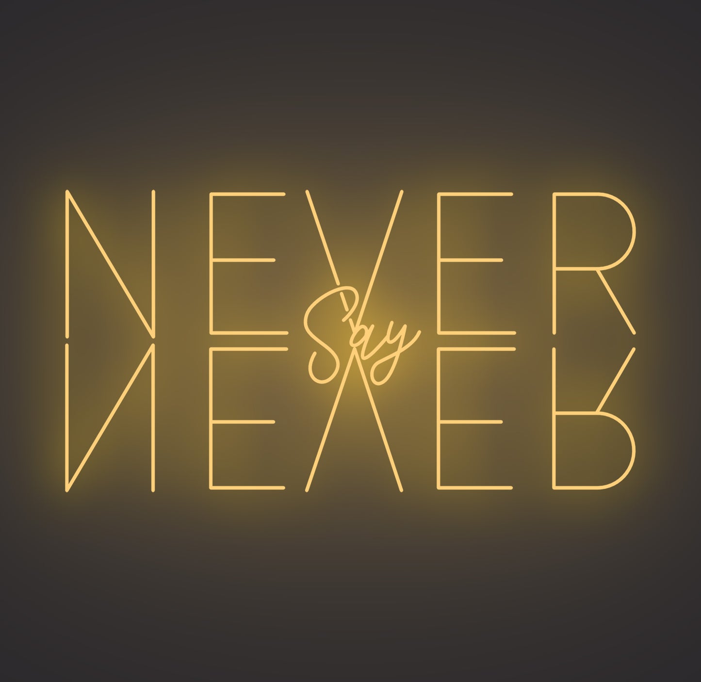 Never Say Never