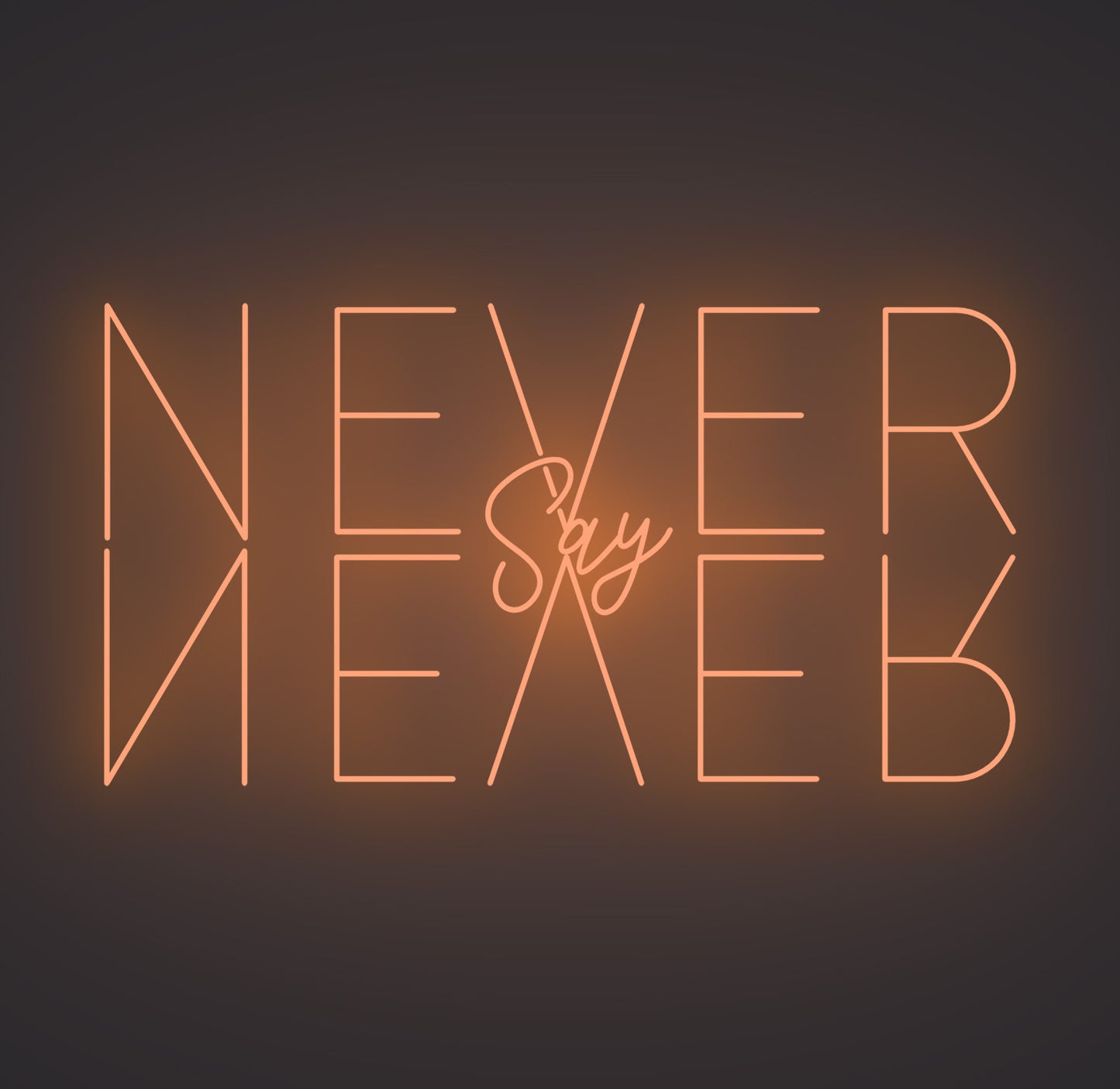 Never Say Never