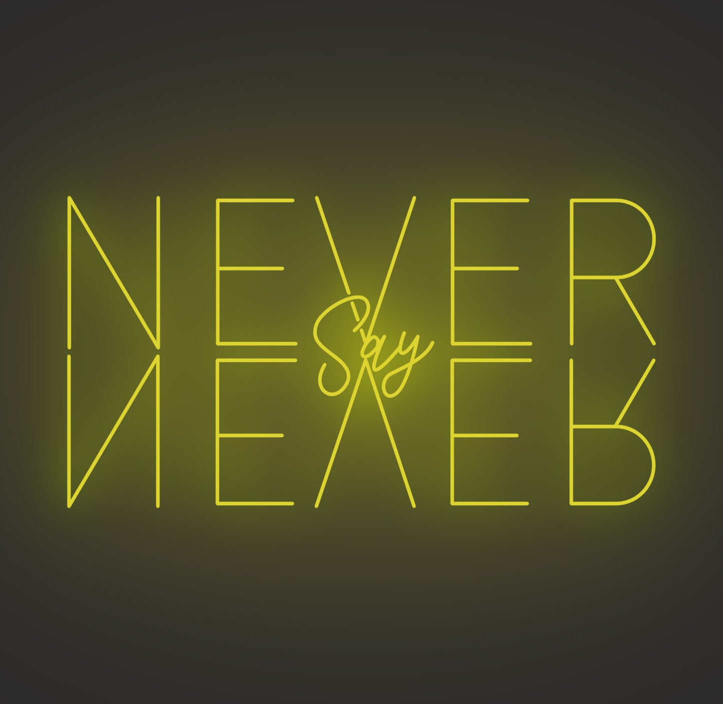 Never Say Never