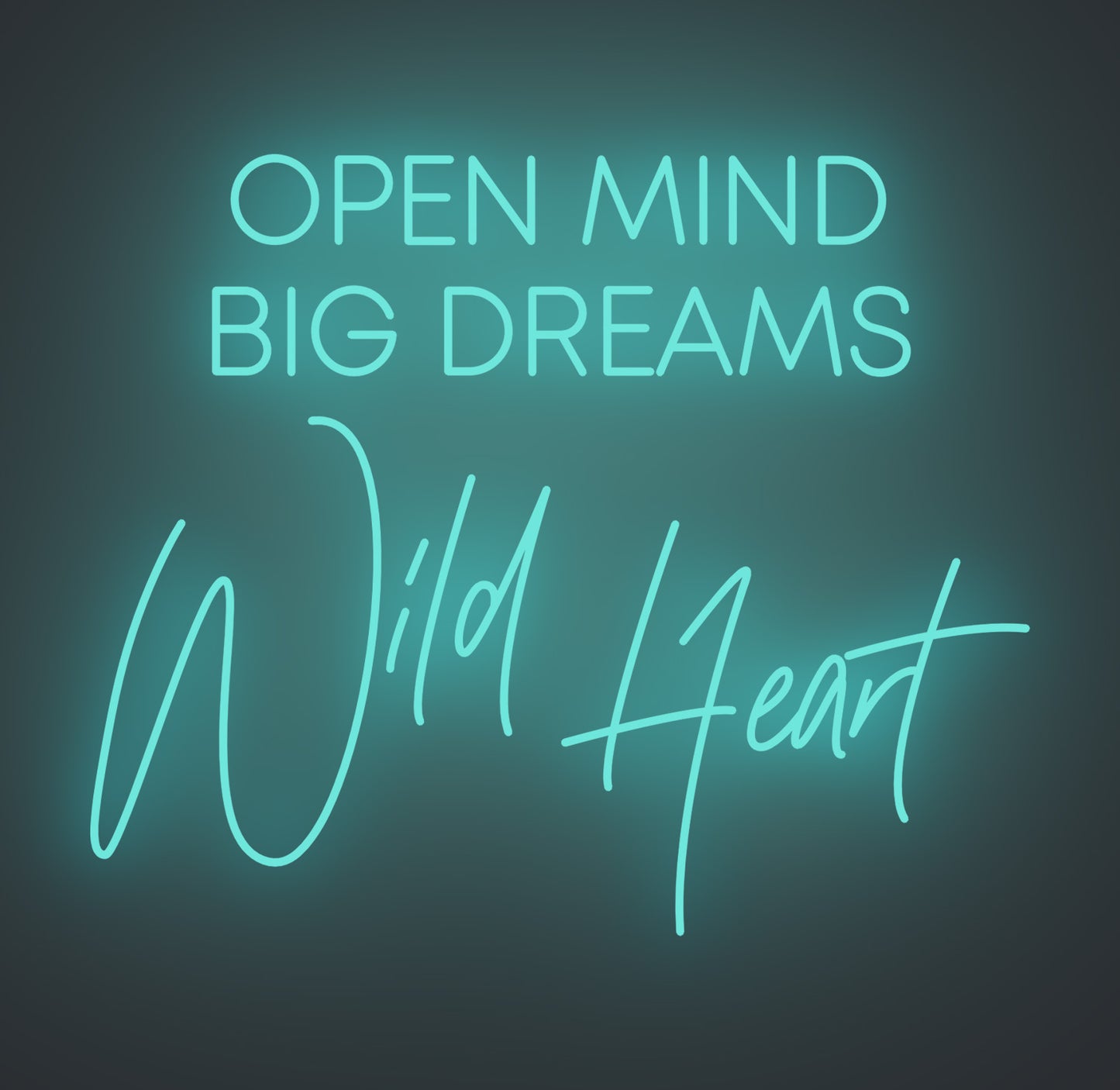 Open Mind Big Dreams Wild Heart