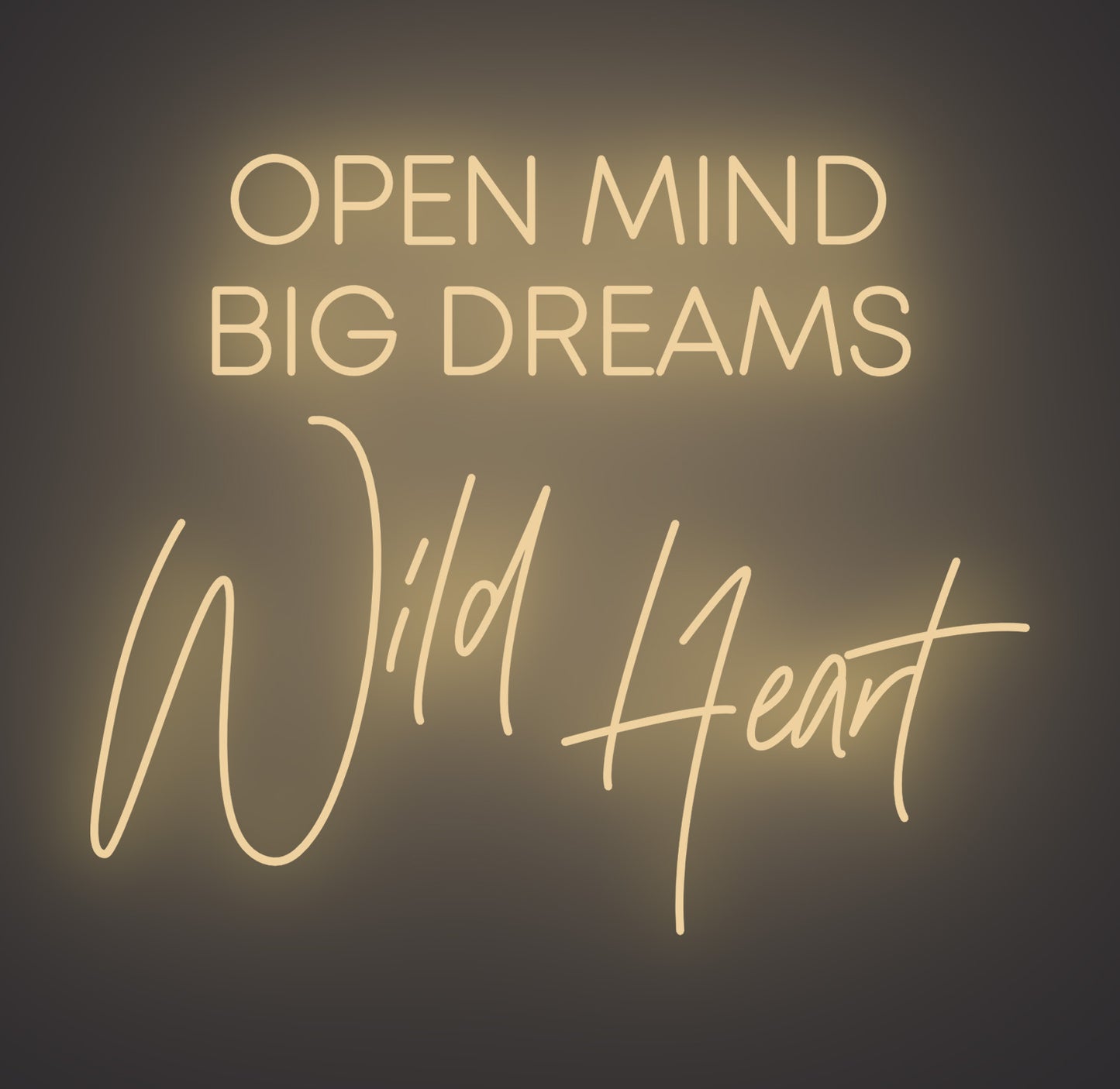 Open Mind Big Dreams Wild Heart