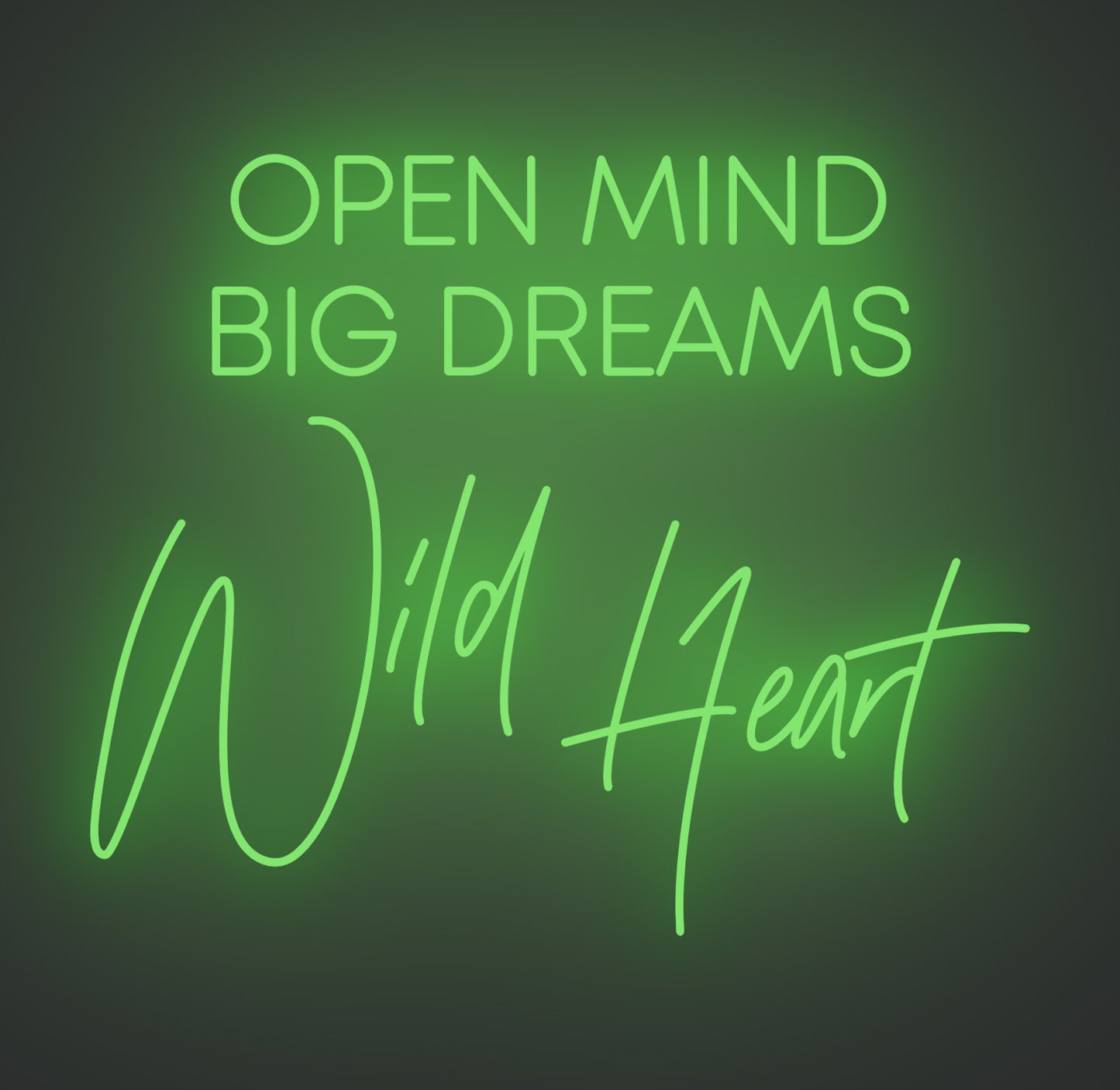 Open Mind Big Dreams Wild Heart