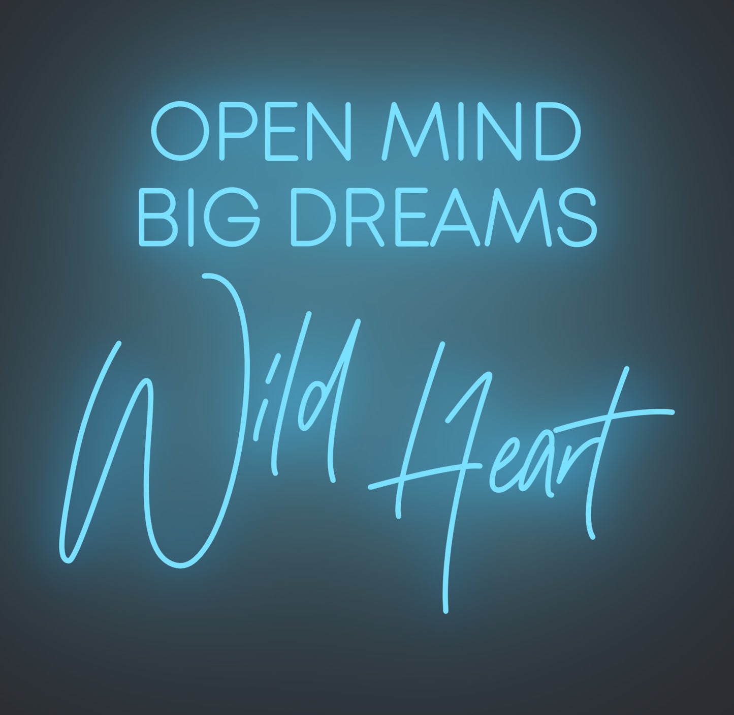 Open Mind Big Dreams Wild Heart