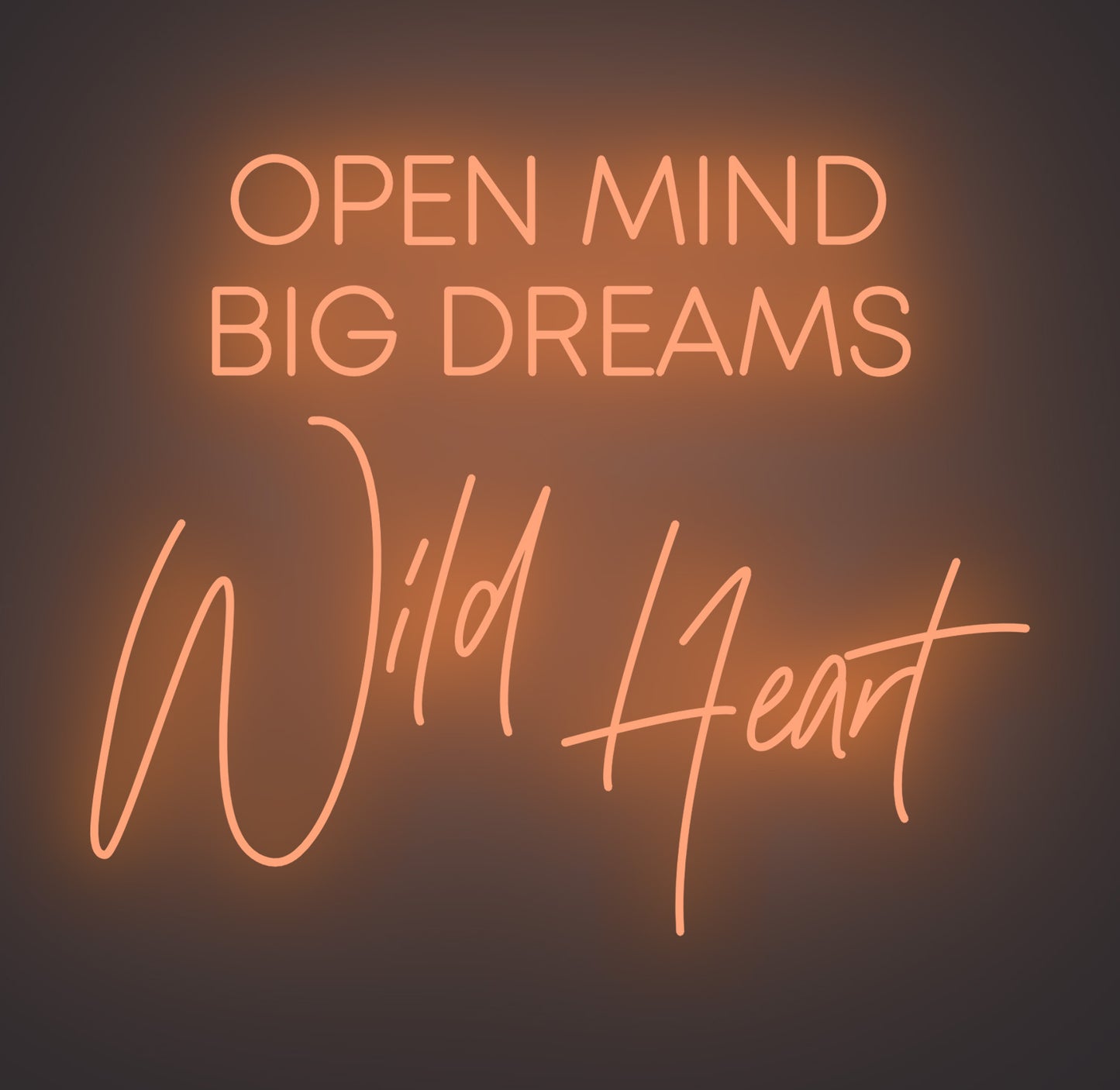 Open Mind Big Dreams Wild Heart