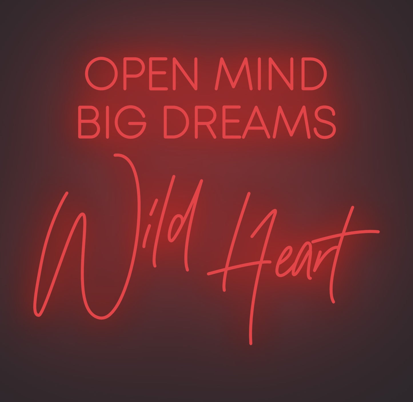 Open Mind Big Dreams Wild Heart
