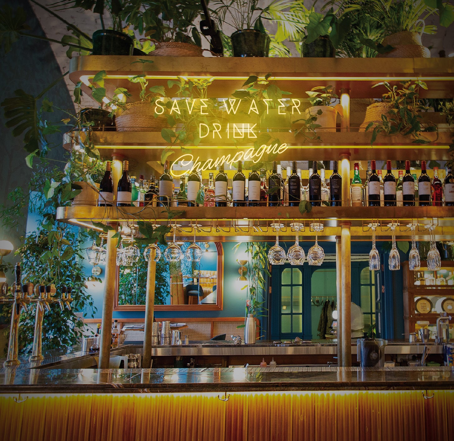 Save Water Drink Champagne