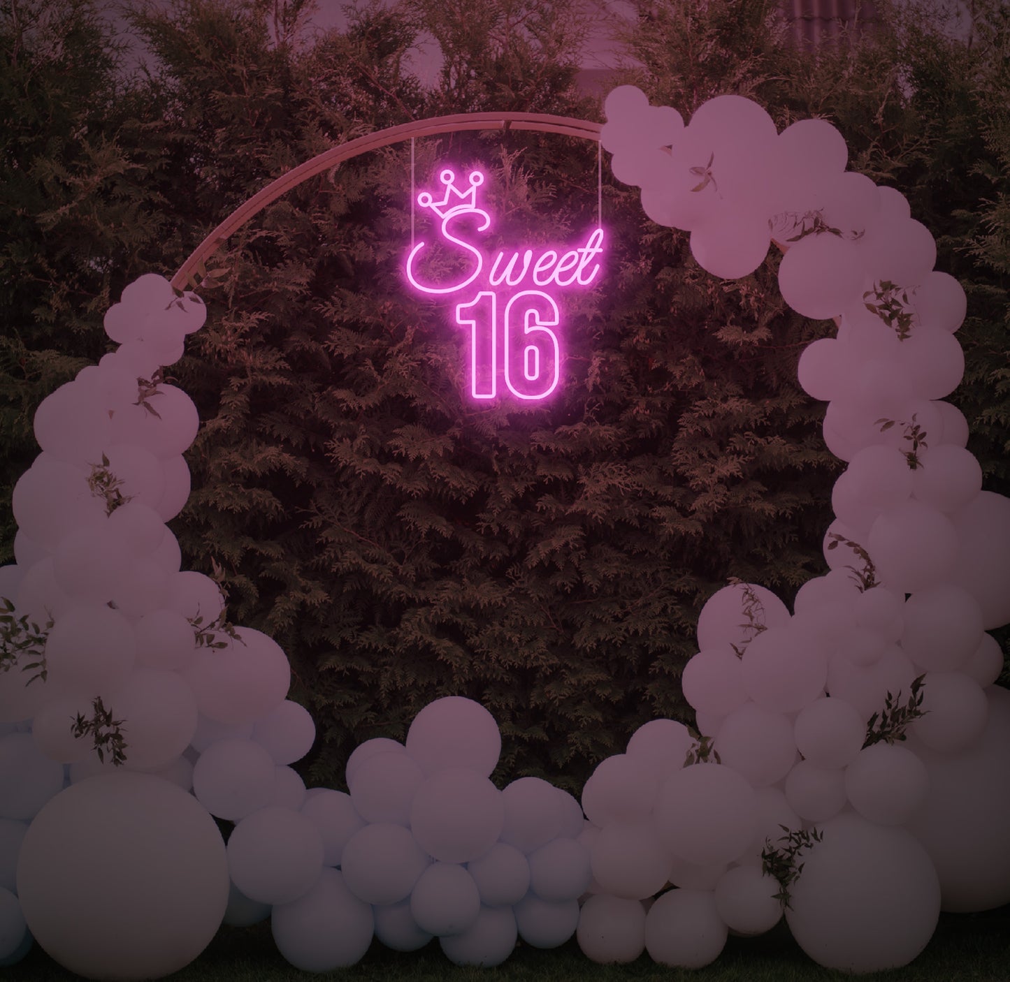 Sweet 16