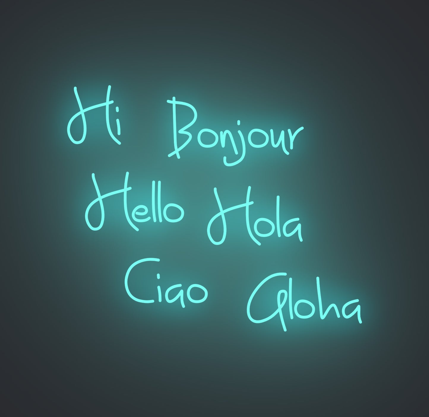 Hi Bonjour Hello Hola Ciao Aloha