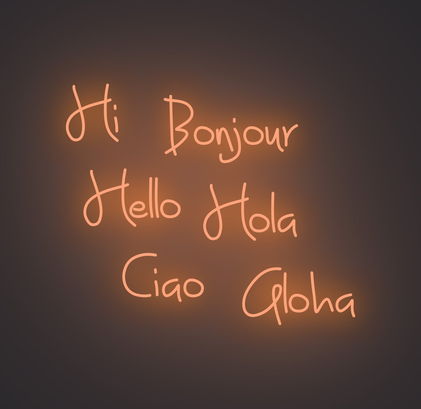 Hi Bonjour Hello Hola Ciao Aloha