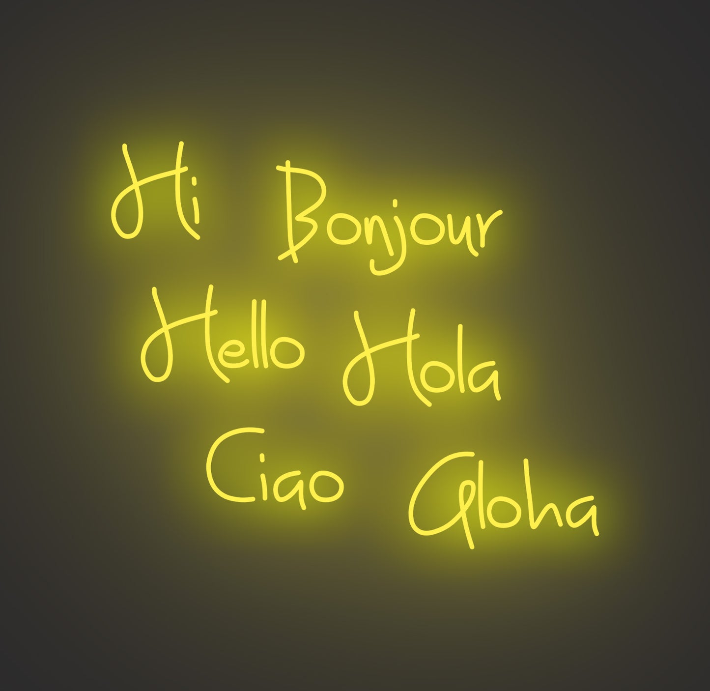 Hi Bonjour Hello Hola Ciao Aloha