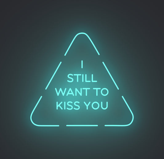 I Still Want to Kiss You
