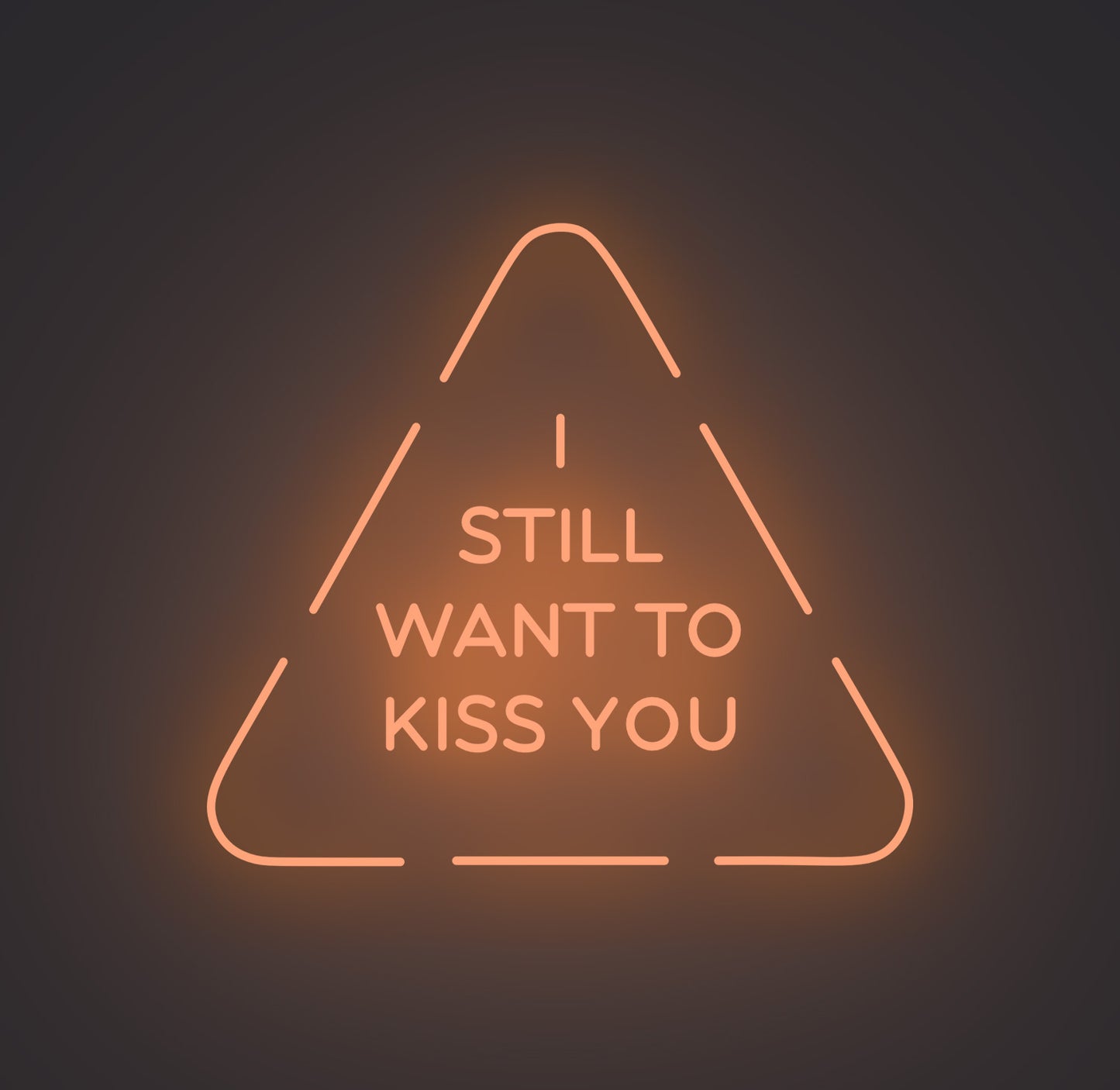 I Still Want to Kiss You