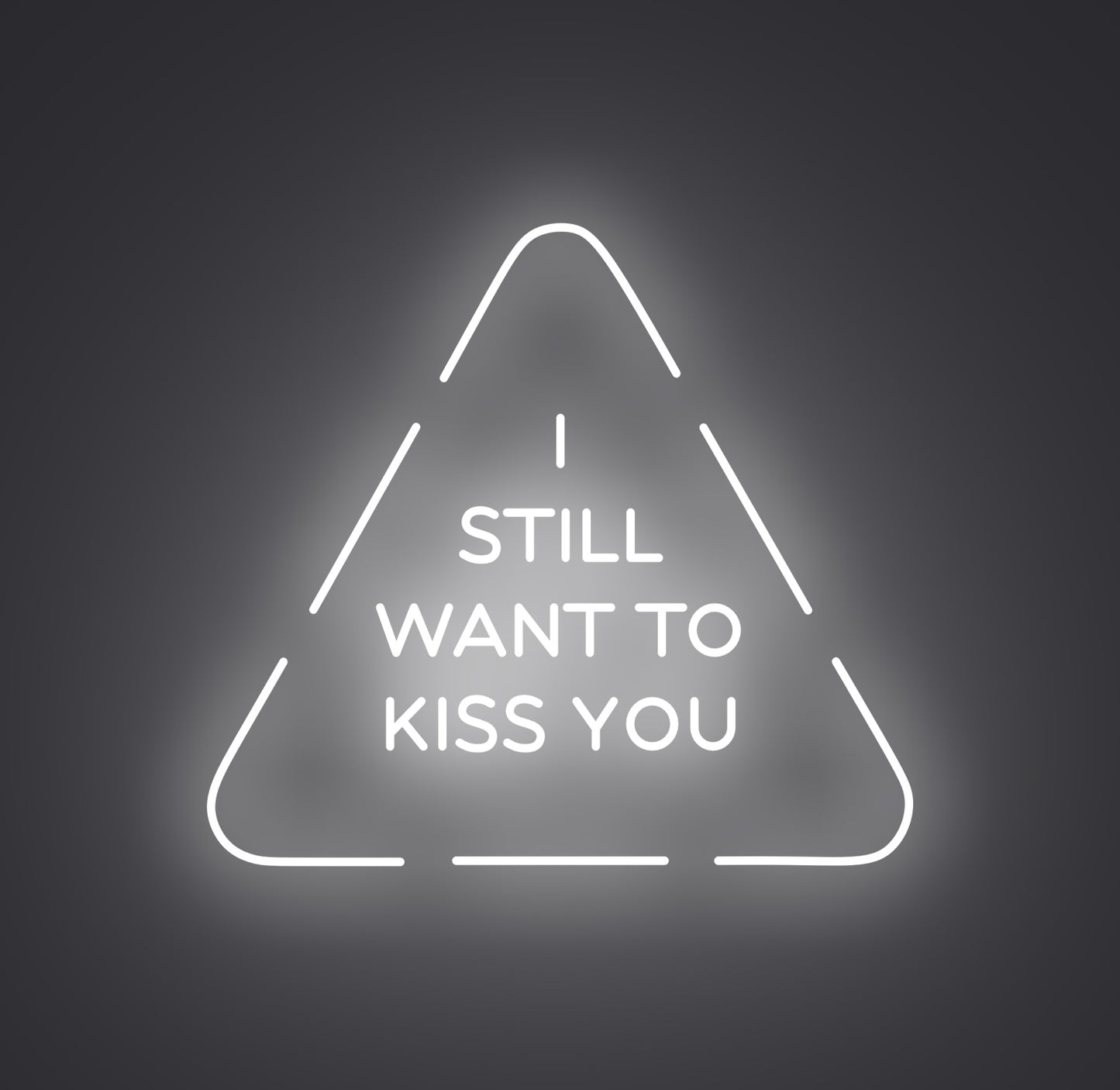 I Still Want to Kiss You