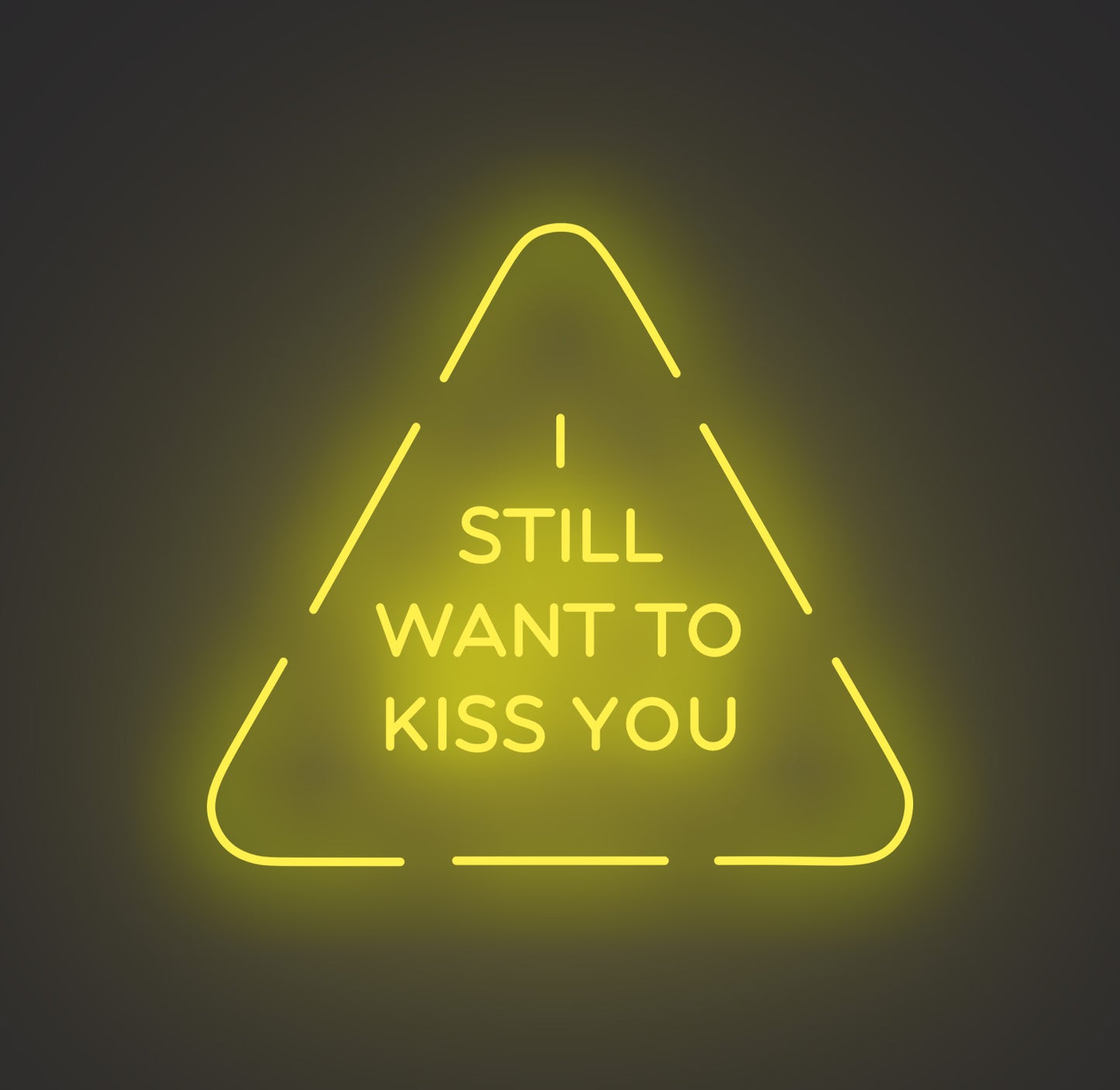 I Still Want to Kiss You